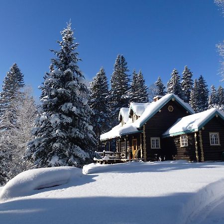 Domaine Le Bostonnais - Le Village En Bois Rond La Tuque Dış mekan fotoğraf