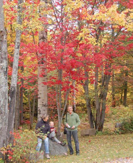 Domaine Le Bostonnais - Le Village En Bois Rond La Tuque Dış mekan fotoğraf