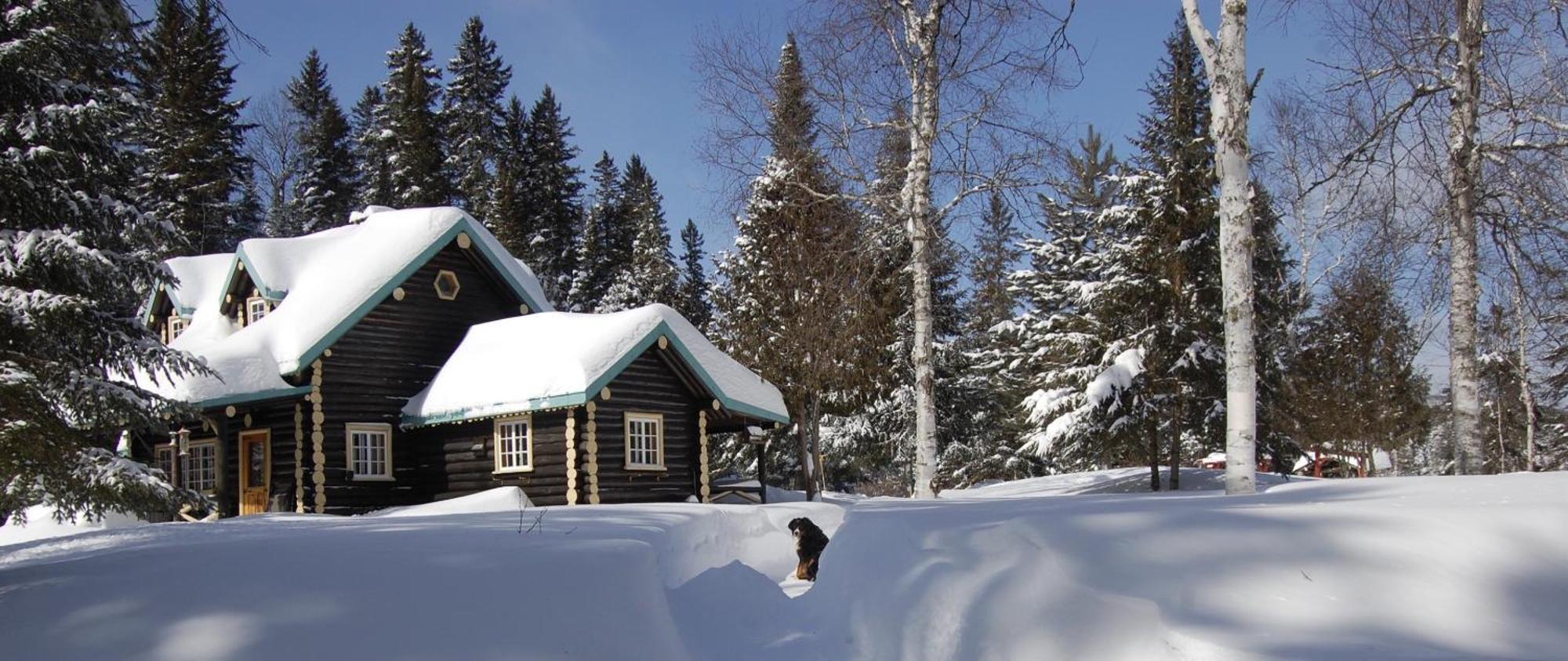 Domaine Le Bostonnais - Le Village En Bois Rond La Tuque Dış mekan fotoğraf