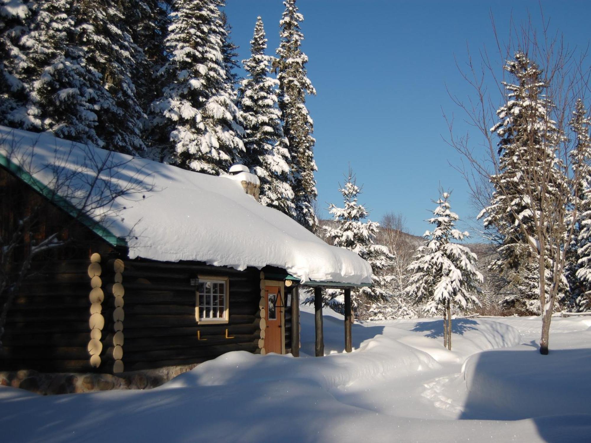 Domaine Le Bostonnais - Le Village En Bois Rond La Tuque Oda fotoğraf