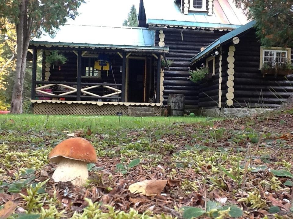 Domaine Le Bostonnais - Le Village En Bois Rond La Tuque Dış mekan fotoğraf